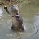 r.o.c.k.