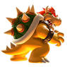 bowser15.