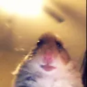 lucasmxd