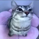 ishaanjv