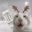 denzelvr