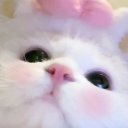 avatar ⋆˚࿔ 𝓴𝓪𝓽𝓱𝔂 𝜗𝜚˚⋆