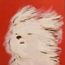 avatar angel
