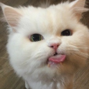 avatar Anastasia🌷