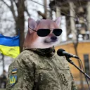 afk_pilot