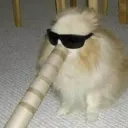 iixxo