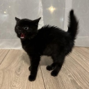 avatar glugluboxnoobb