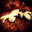 gabri_39