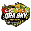 skybr77_
