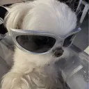 xbabbette