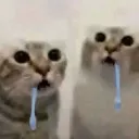 gwff