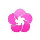 paul._js