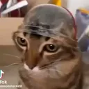neuotelal