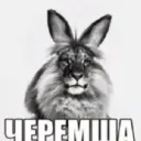 Аватар smetkaa