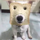 salvatorejugz