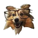 kylegeiger