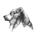 sleepybear700