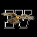 sparrowhawk_4