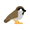 sparrowwatt