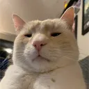 robo_meldan