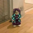 hahhak70