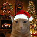 avatar I am Israel ~