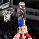 thecheese9745's Avatar