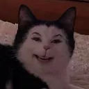 jtaa.