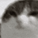 the_great_detektiv