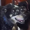 emmaeira