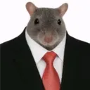 eddgardd