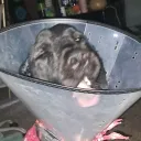 muthafuckin_hex