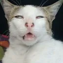 zenwoo_.