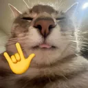snaxlegend