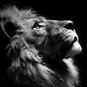 jeylonna's Avatar