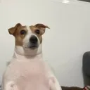 skincarverrr