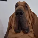 skincarverrr
