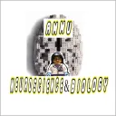 ammuneuro