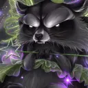 draccoon1266
