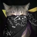 myuunie_ avatar
