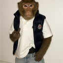 avatar ZAZA DICAPRIO