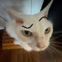 zariy