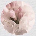 avatar 𝓜𝓪𝓭𝓭𝓲𝓮||曇り