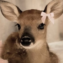 avatar 𝓜𝓪𝓭𝓭𝓲𝓮||曇り