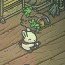 dmdkr_0