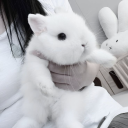 avatar MOICY YURI LOVER