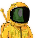 drkushbaggs
