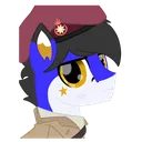 benjifoxyy