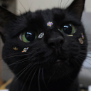 avatar Sofia