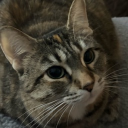 avatar misa